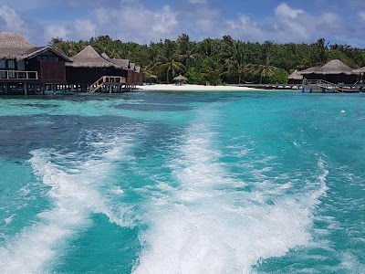 Photos of Naladhu