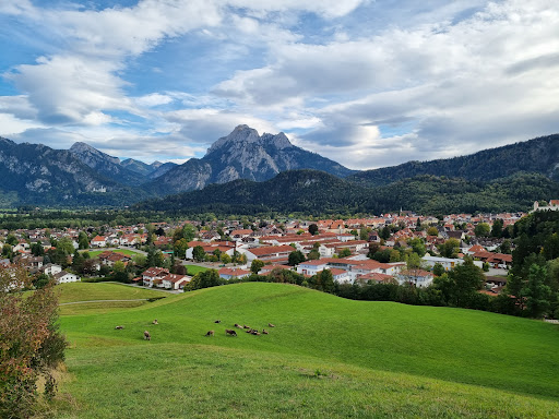 Galgenbichl - Visual