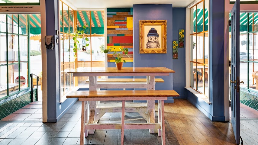 The Blue Owl by null