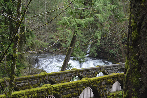 Whatcom Falls Park - Thumbnail