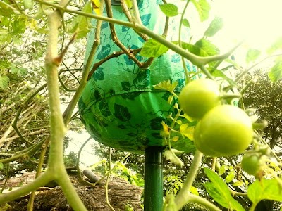 Photos of Hortus Costa Rica