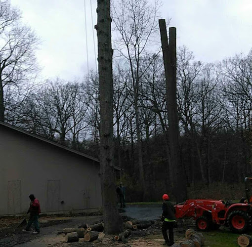 Alfredo's Tree Service, Inc.