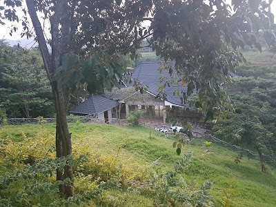 Photos of Nokras Riverine
