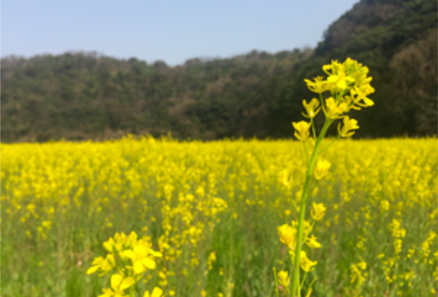 ㈱美ノ久 本社工場