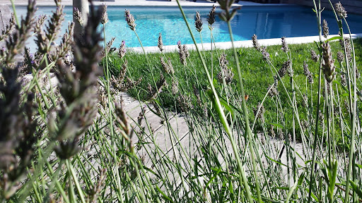 Photo de PISCINES AINDINOISES à Bourg-Saint-Christophe (01800)