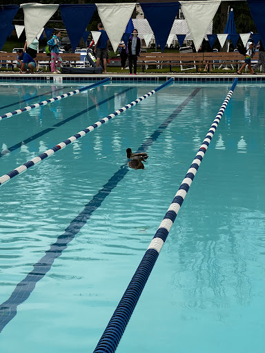 Olney Mill Swim Club - Thumbnail