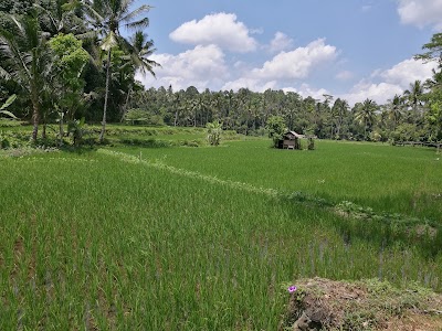 Photos of Sesaot Lodge