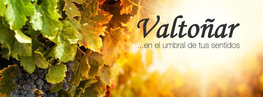 Valtoñar Bodega Ribera del Duero Gallery - Spain