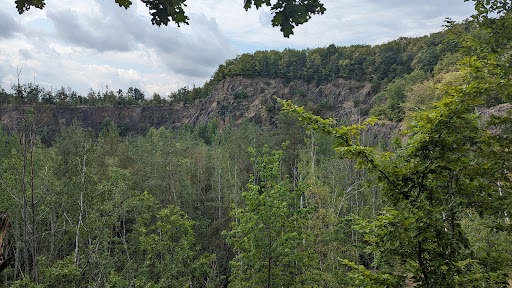 Haselberg-Straßenteich - Thumbnail