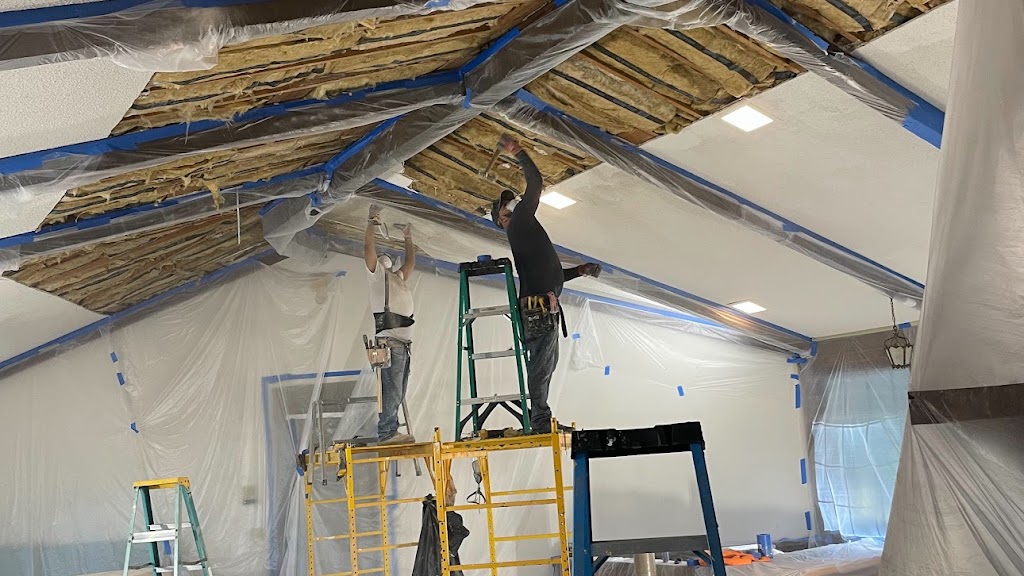 Mold Solutions Home Services LLC photo