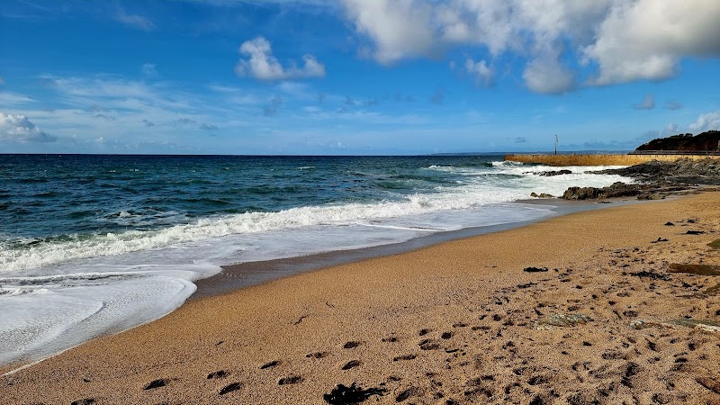 County Property Finders photo 2