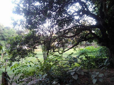 Photos of Meghdubi Bus Stop