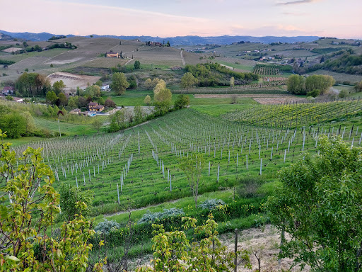 VIV Winery - Thumbnail