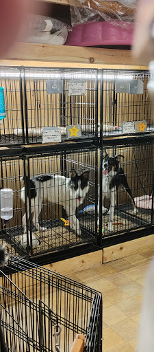Little Paws Dog Shop LLC - Thumbnail