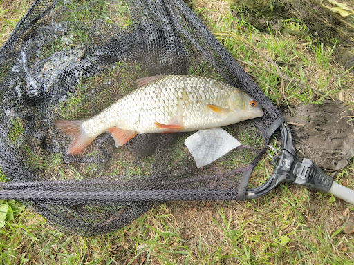 au p'tit pêcheur