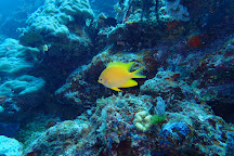 Dive 7 Seas, Cairns, Australia