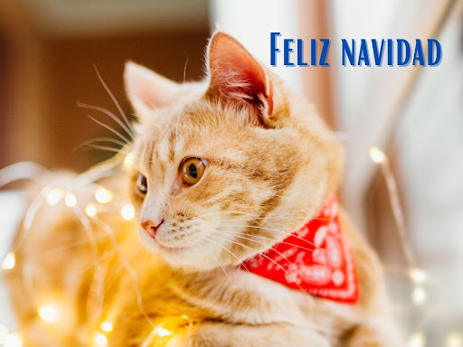 Clínica Veterinaria Costasol