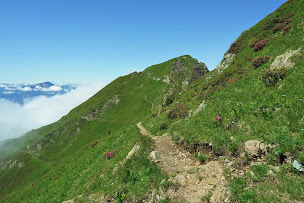 Photo n°15 de Experience Nature Jonathan Perret à Chamrousse (Agence de tourisme sportif)