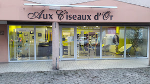 Photo n°2 de Aux Ciseaux D'or à Rethel (Salon de coiffure)