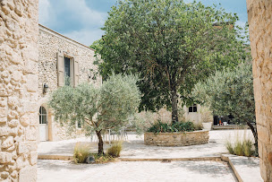 Photo n°21 de Domaine La Blaque - Producteur de vins AOP Pierrevert à Pierrevert (Vignoble)