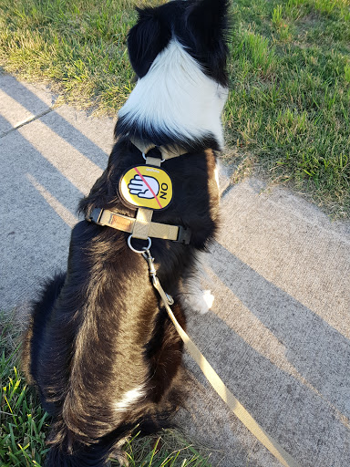 pooch pantry - Thumbnail