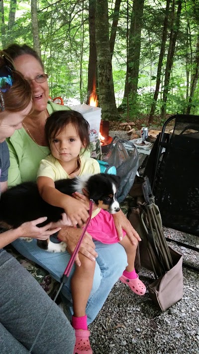 Photos of Grindstone Recreation Area Campground