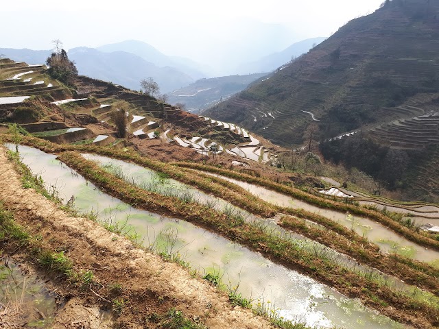 Xian de Yuanyang