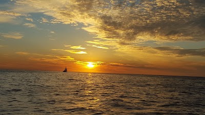 Photos of Sunset Kidd Sailing Cruises & Whale Watching