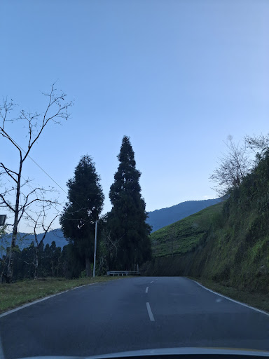 Gallery image 21