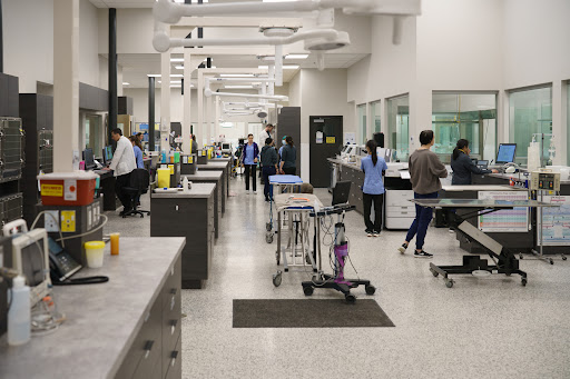 Boundary Bay Veterinary Specialty Hospital Gallery - United States
