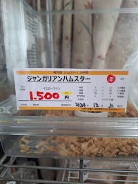 ペットブリード憩いの森（療養のため一時休業）