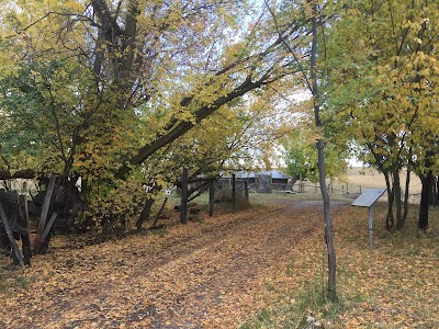 Moon-Randolph Homestead