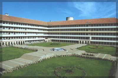 university