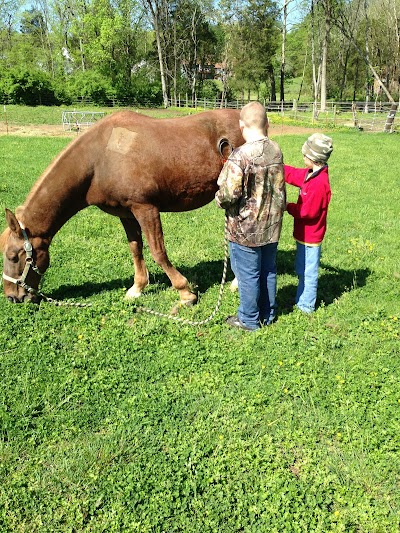 Karns Animal Clinic