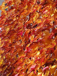 Photo n°11 de Domaine de l'Olifant à Champanges (Hébergement d'intérieur)