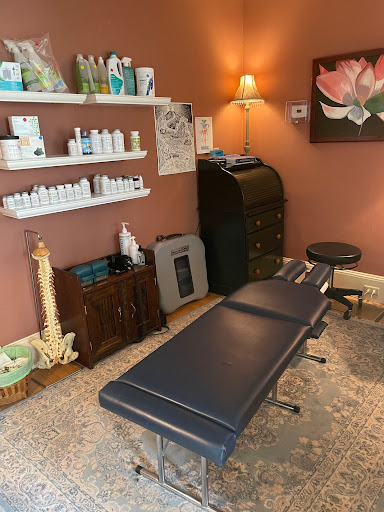 Whole Body Chiropractic LLC