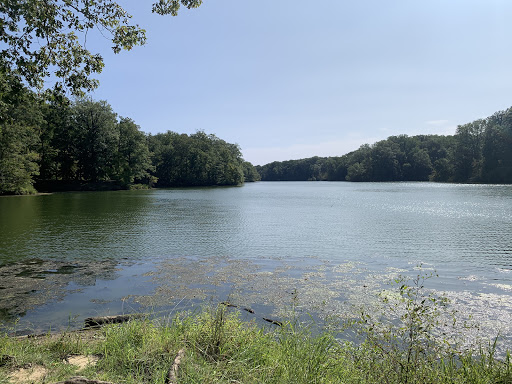 Meeman-Shelby Forest State Park Visitor Center - Thumbnail