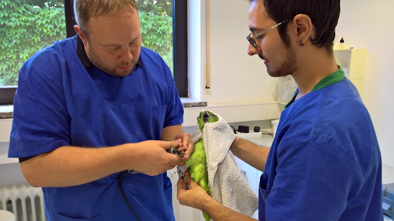 Veterinary practice for exotics photo