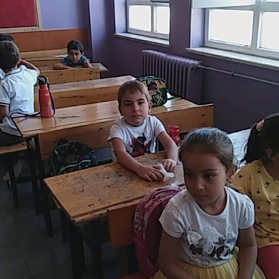 Mehmet Hayri Özkaya Primary School