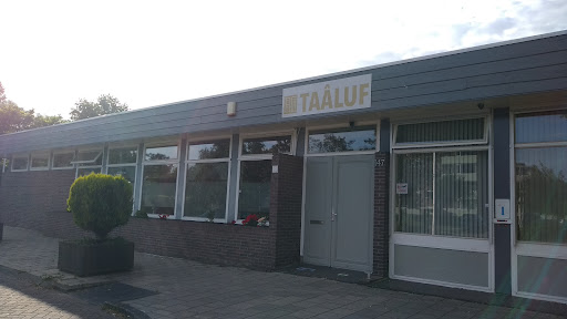 association Taâluf - Thumbnail