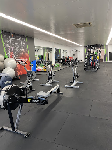 MINT PT STUDIO - Visual