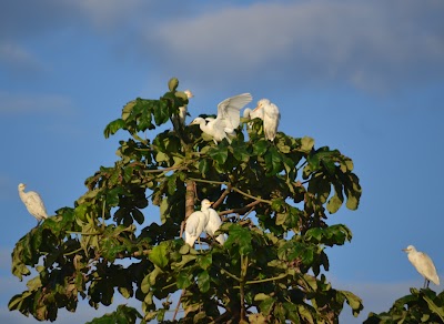 Photos of PEG Farm and Nature Reserve