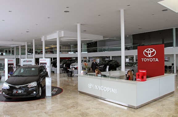 Toyota Yacopini, Author: Toyota Yacopini