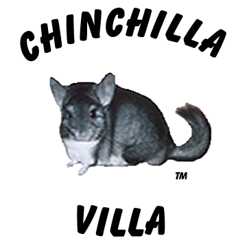chinchilla villa - Thumbnail