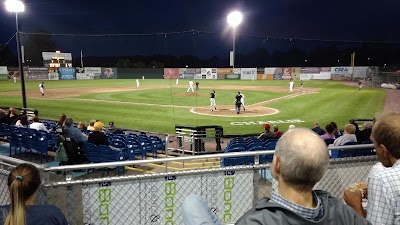 Auburn Doubledays