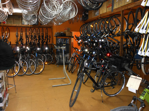 Action Cycle Sport 2 - Thumbnail