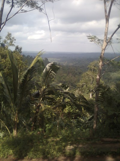 Photos of Gunung Parang