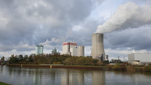Fischaufstieg Am Wehr