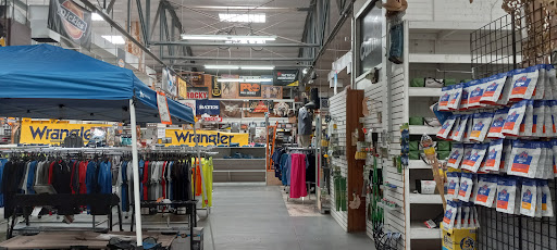 Miller's Surplus - Thumbnail