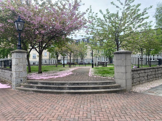 Lains Lettings
